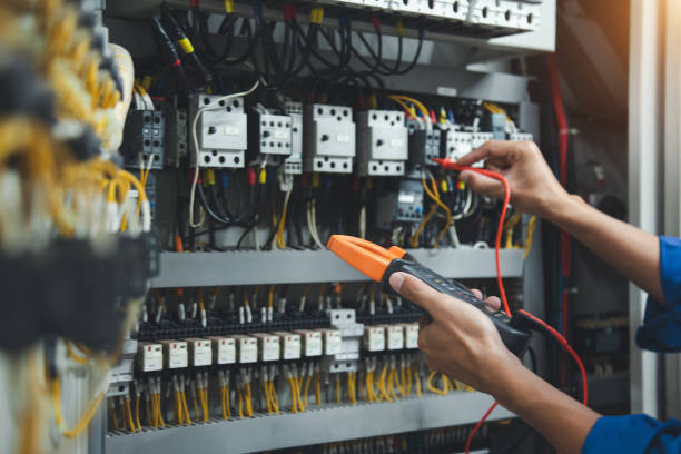 Best Licensed Electrician  in Trenton, FL