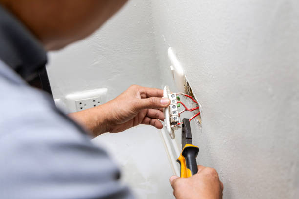 Best Affordable Electrician  in Trenton, FL